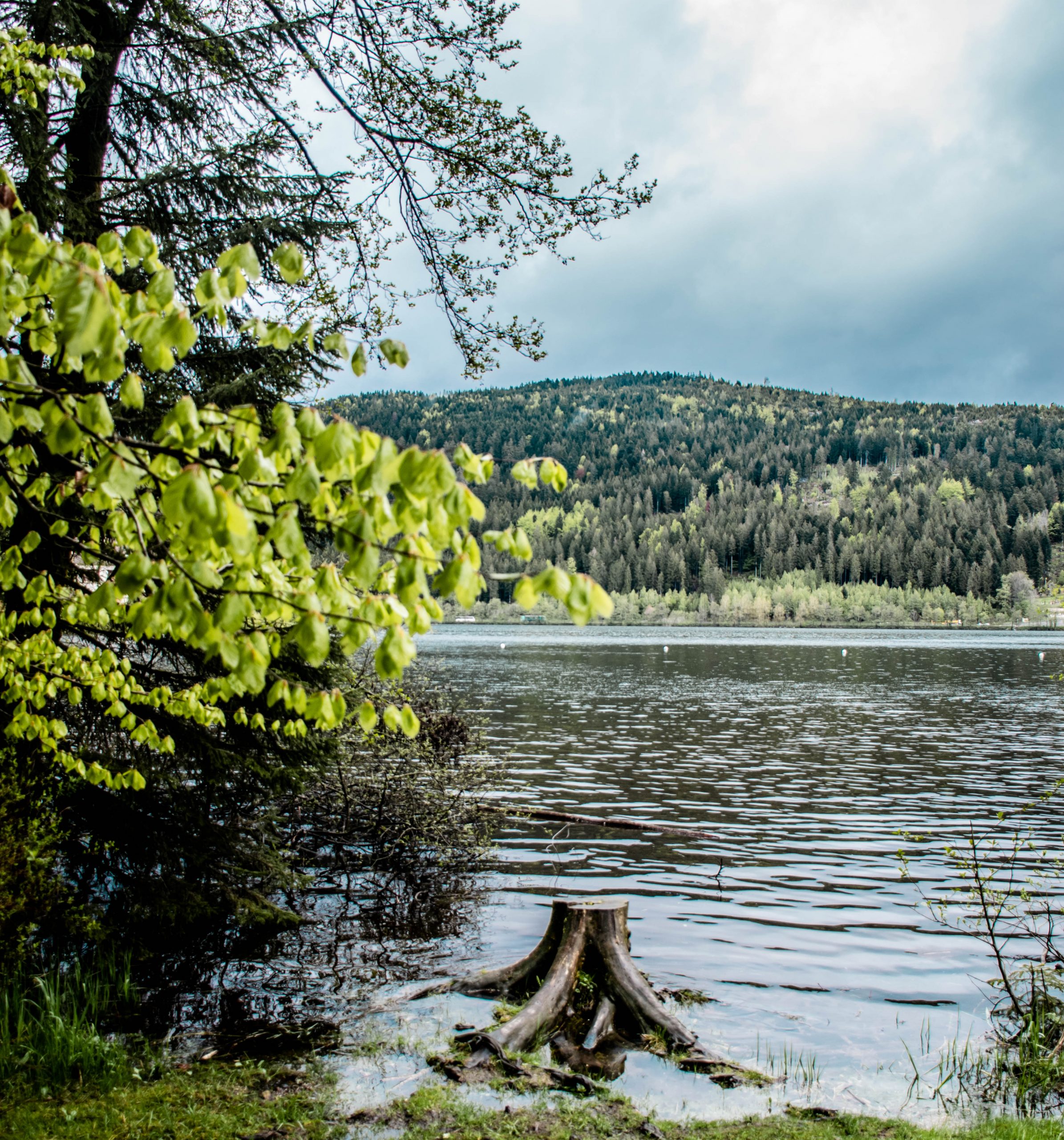 Lac de Gérardmer dans les Vosges, randonnée et tour du lac