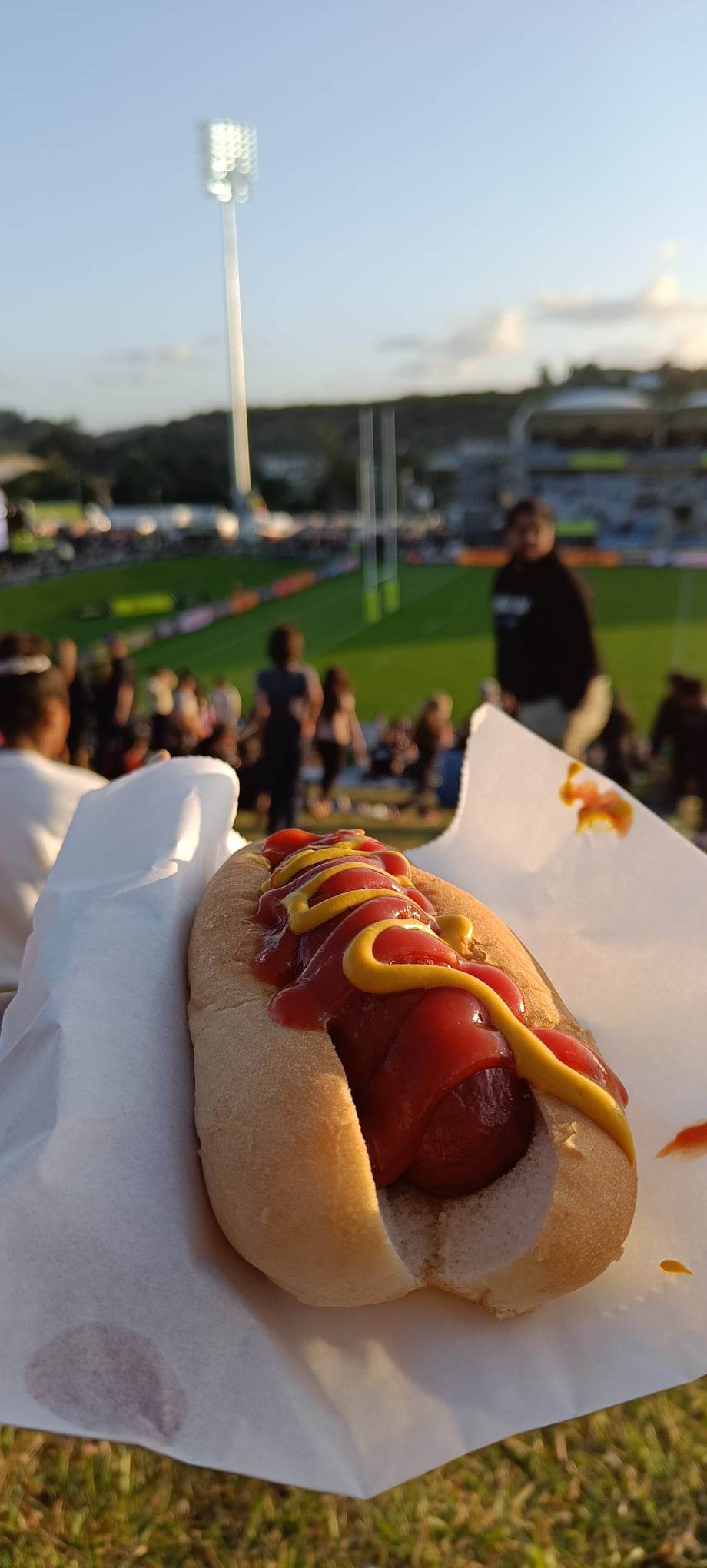 hot-dog-rugby-whangarei