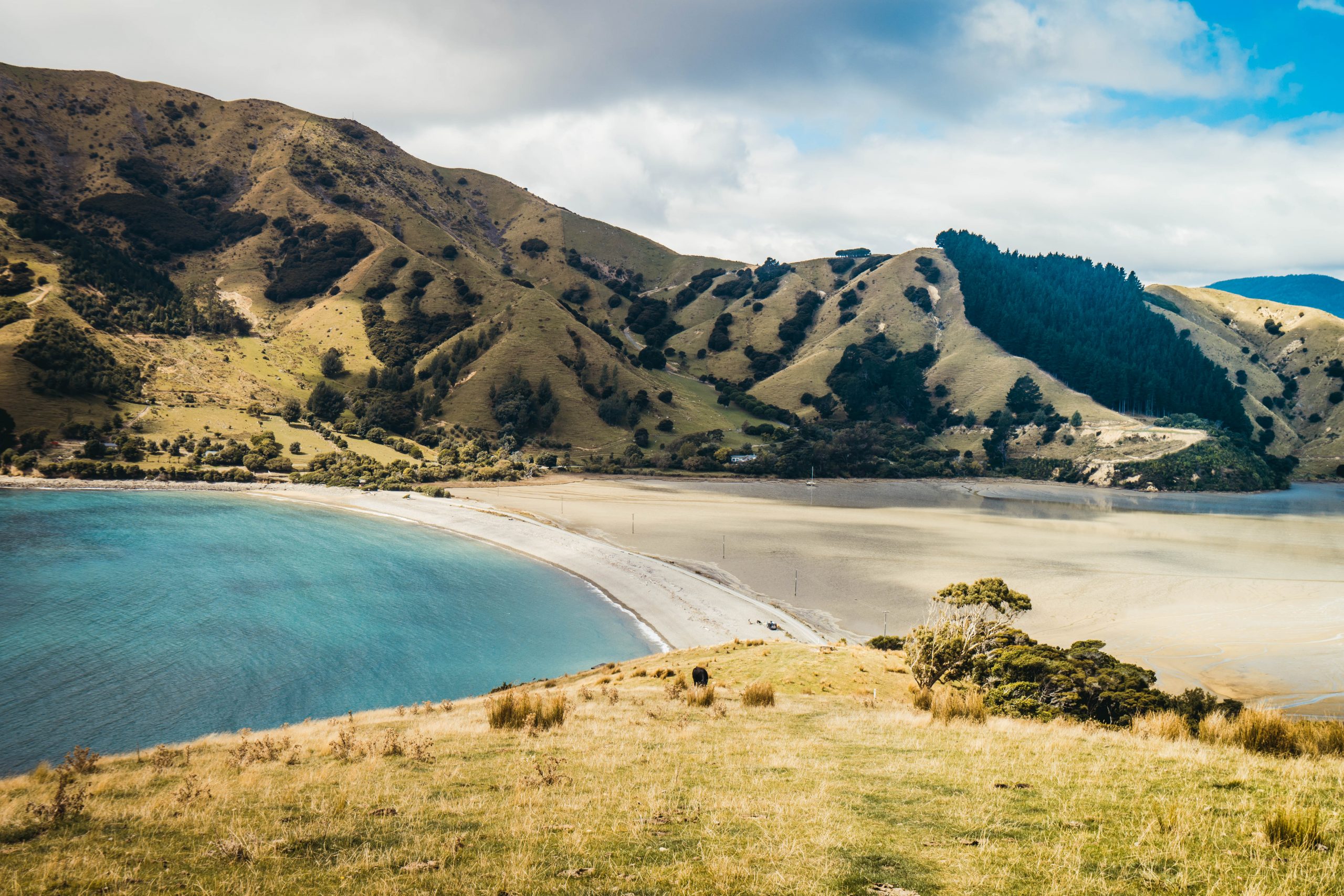Cable Bay - Marlborough / Nelson île du Sud Nouvelle-Zélande