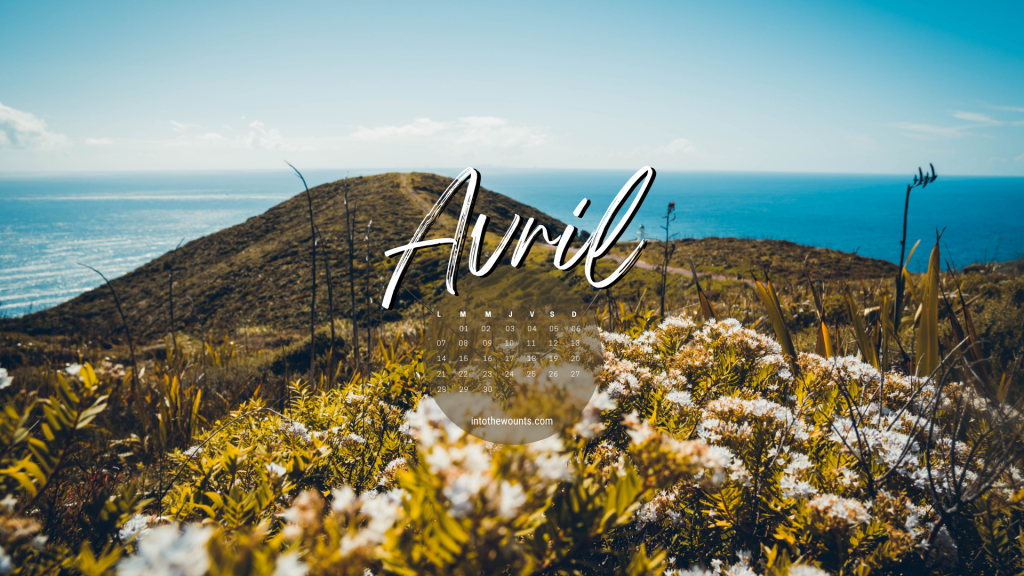 Fonds d'écran avril 2025 Into The Wounts — free download