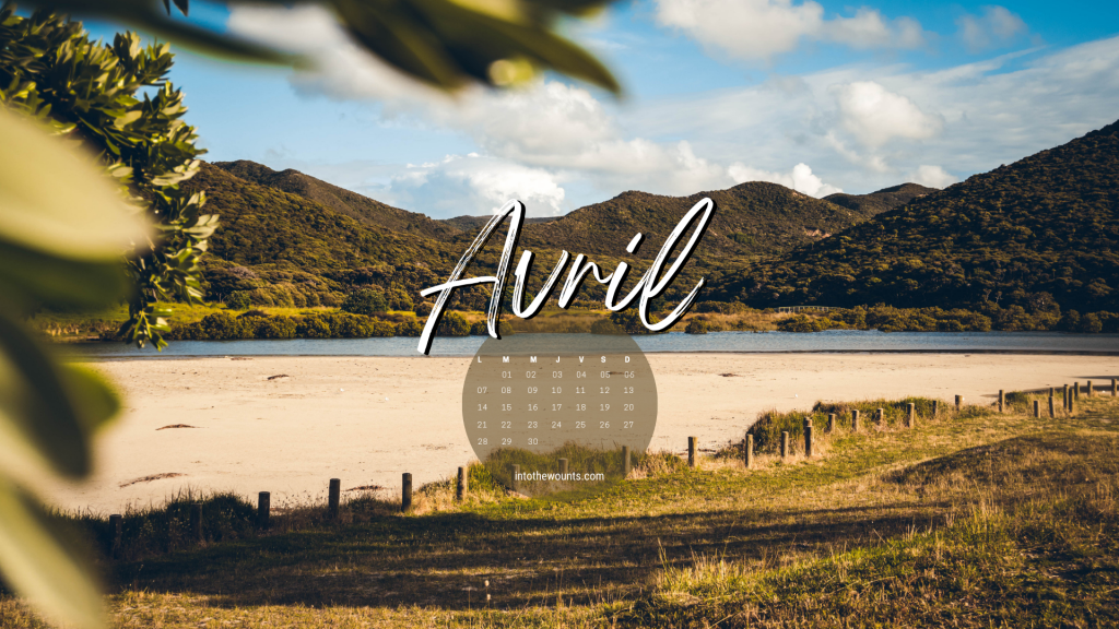 Fonds d'écran avril 2025 Into The Wounts — free download