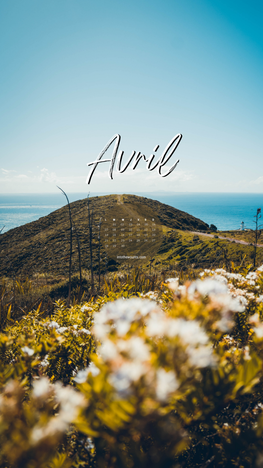 Fonds d'écran avril 2025 Into The Wounts — free download