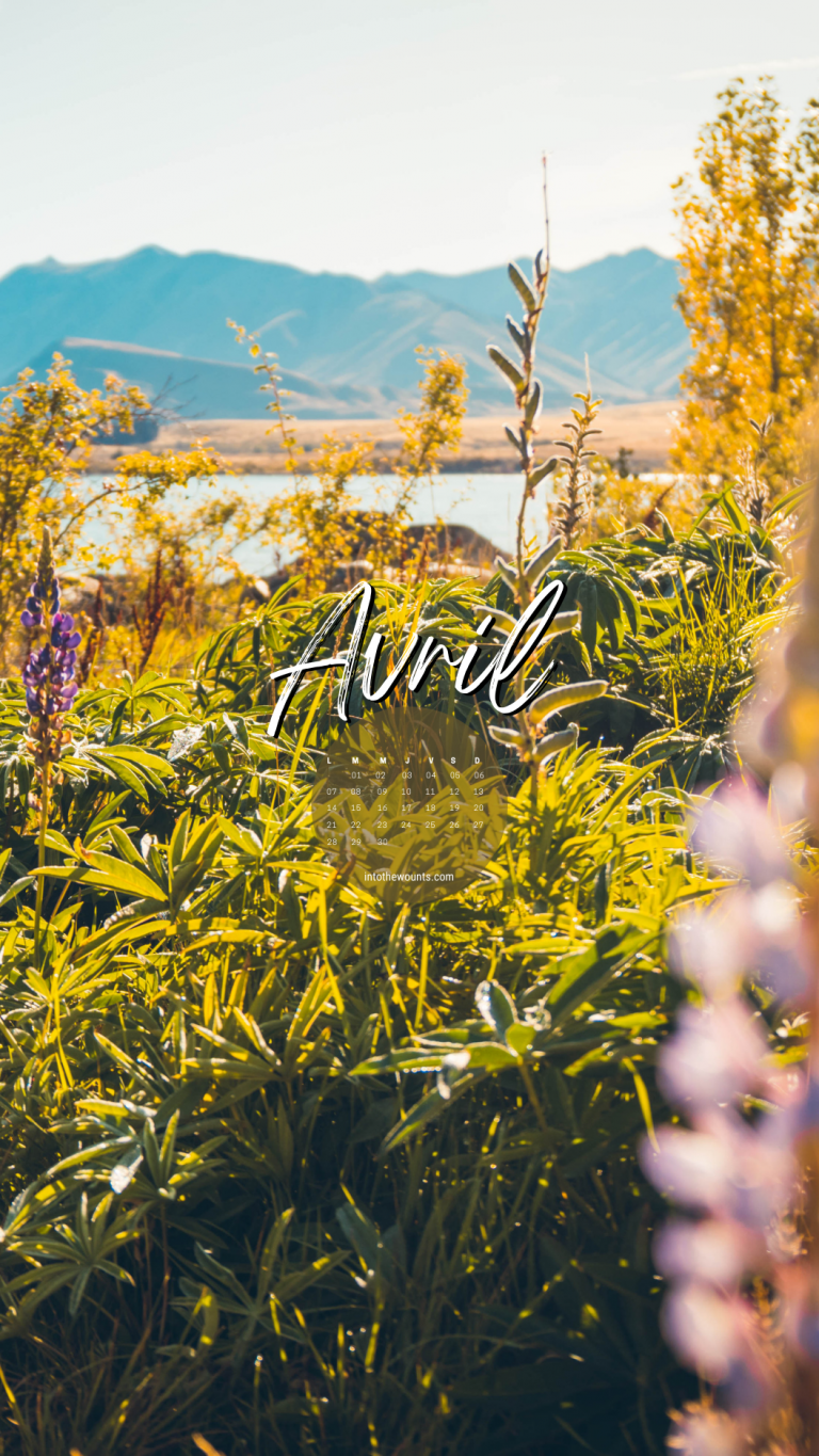 Fonds d'écran avril 2025 Into The Wounts — free download