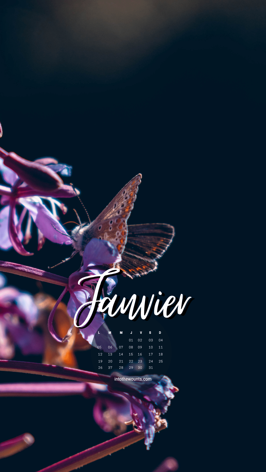 Fond d'écran janvier 2026 avec et sans calendrier pour pc et ordinateur