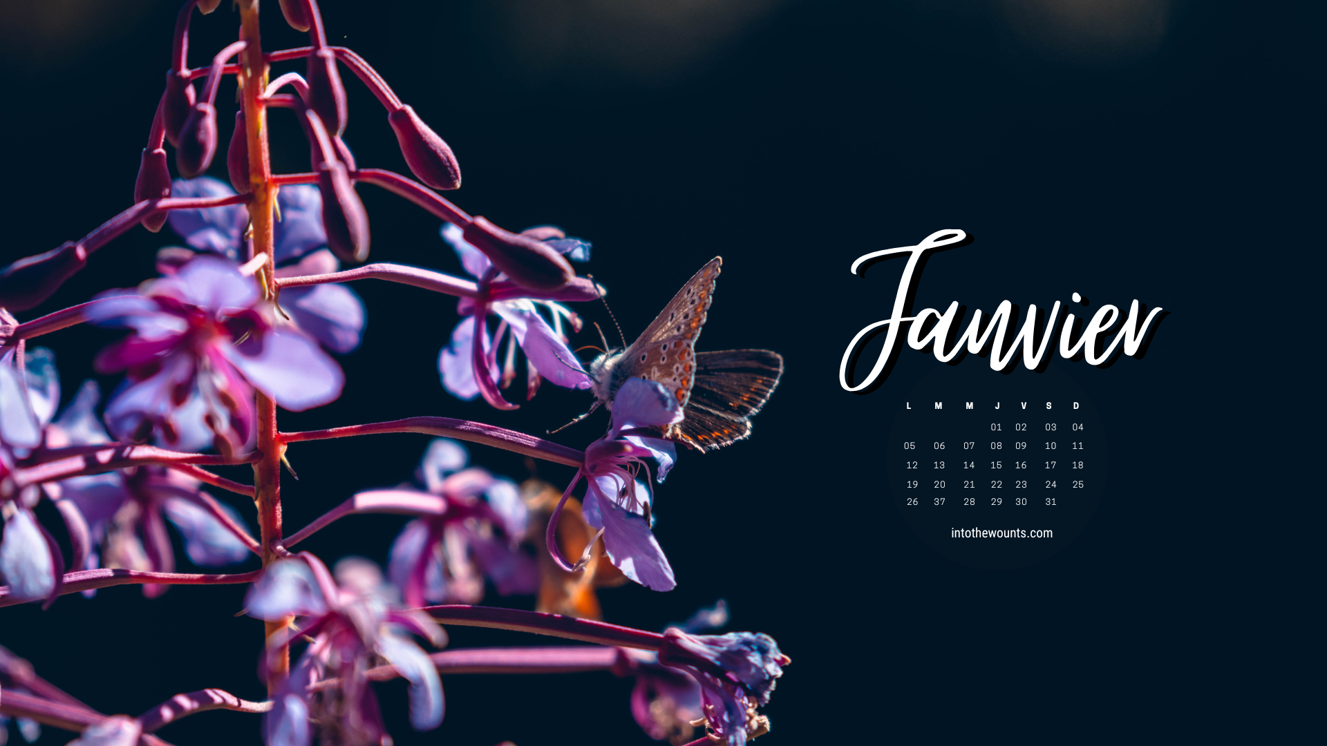 Fond d'écran janvier 2026 avec et sans calendrier pour pc et ordinateur