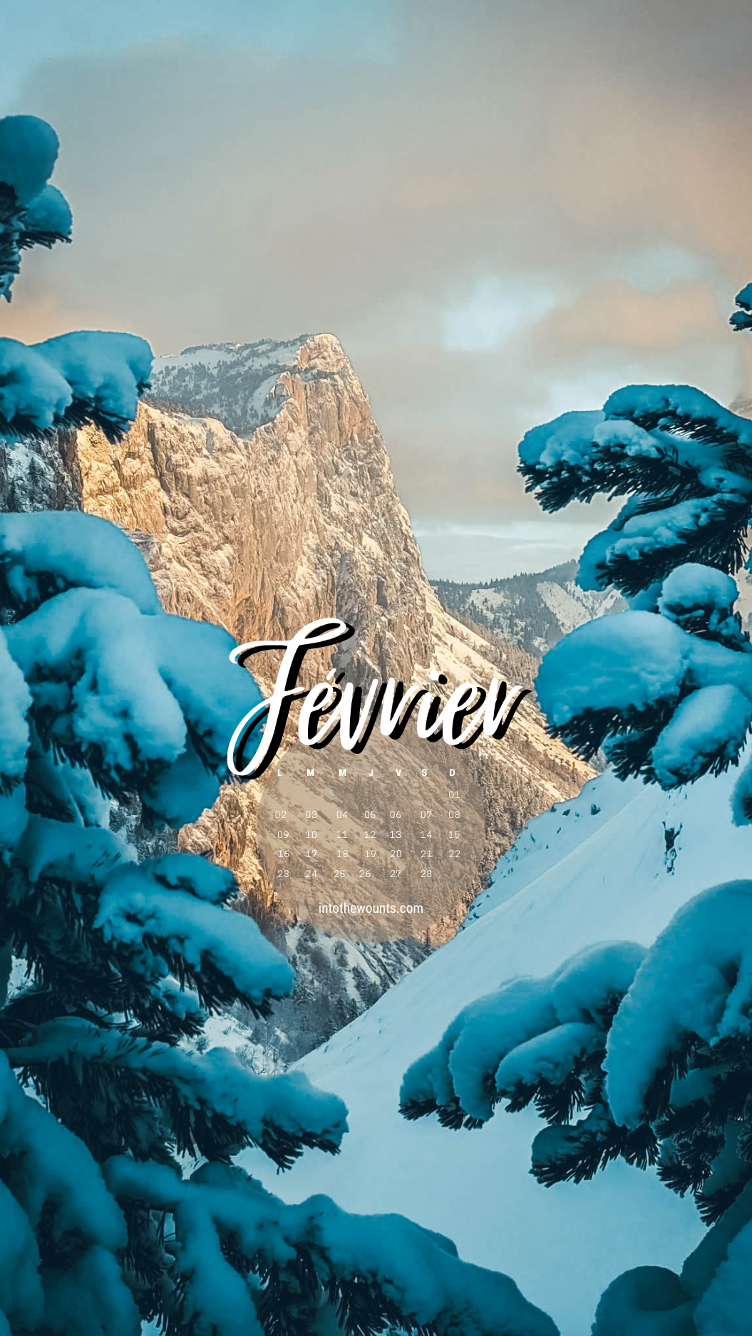 Fond d'écran pour téléphone et ordinateur avec et sans calendrier janvier 2026