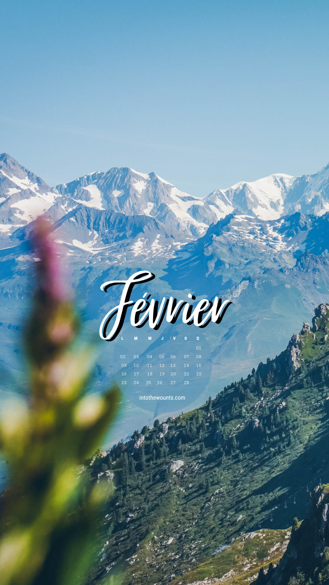 Fond d'écran pour téléphone et ordinateur avec et sans calendrier janvier 2026