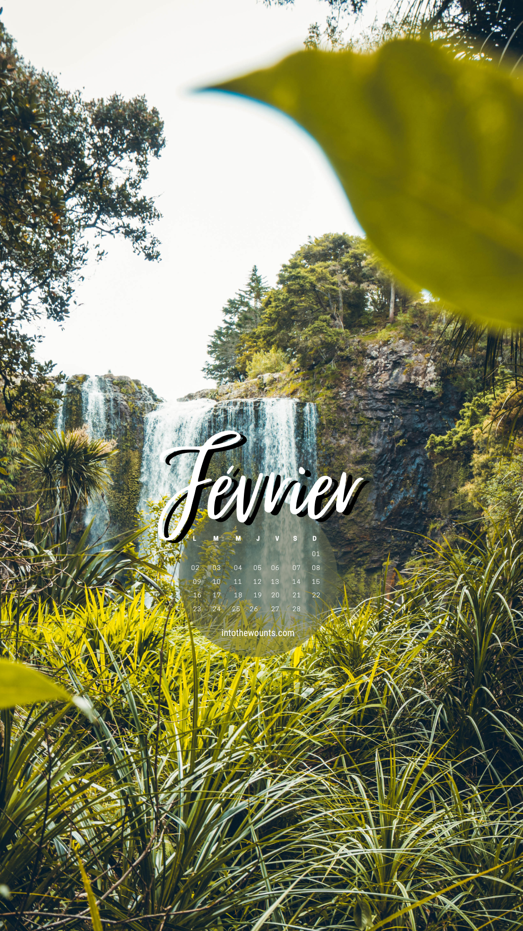 Fond d'écran pour téléphone et ordinateur avec et sans calendrier janvier 2026