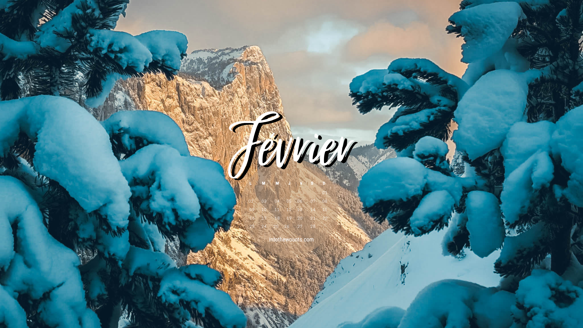 Fond d'écran pour téléphone et ordinateur avec et sans calendrier janvier 2026