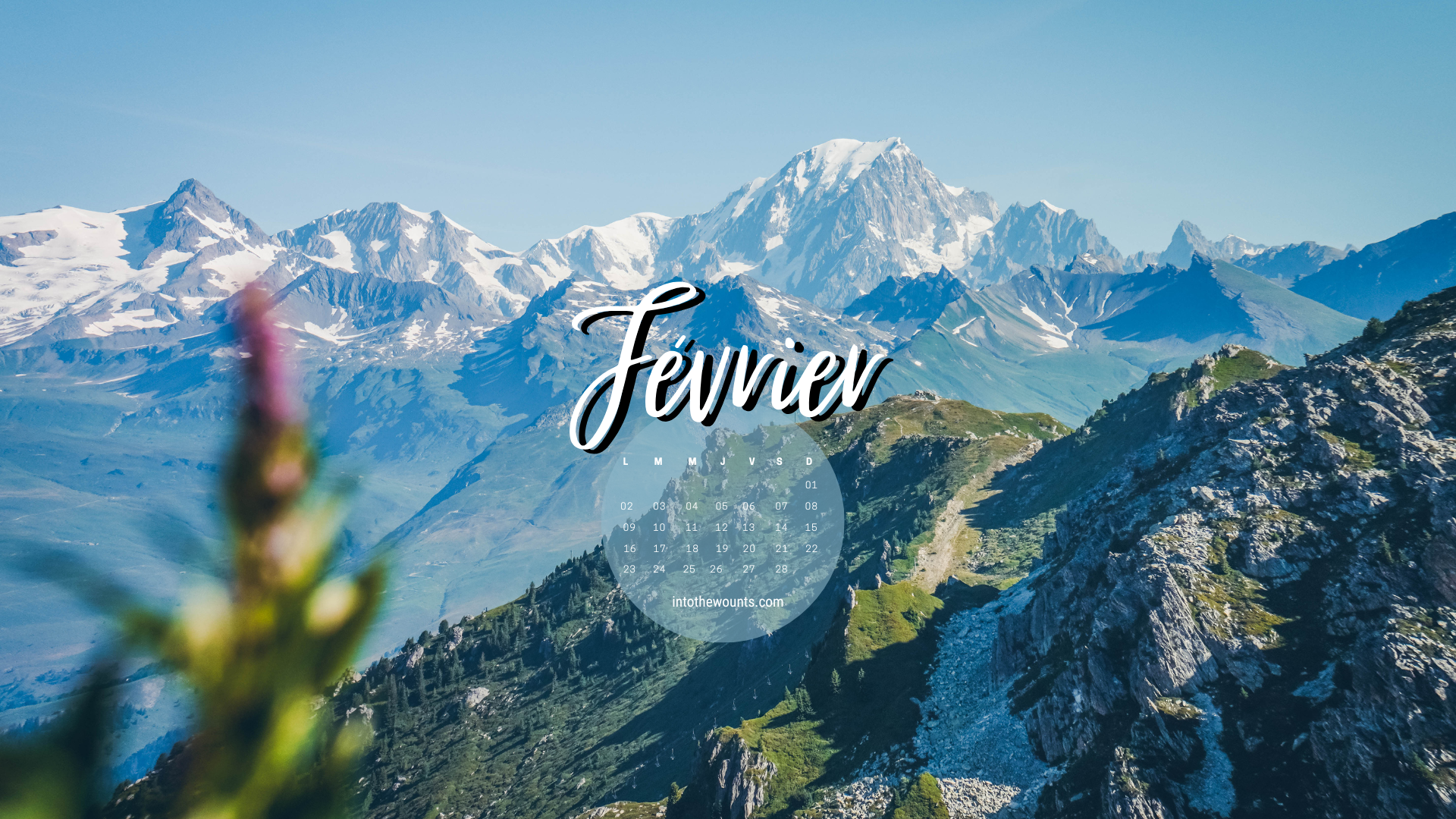 Fond d'écran pour téléphone et ordinateur avec et sans calendrier janvier 2026