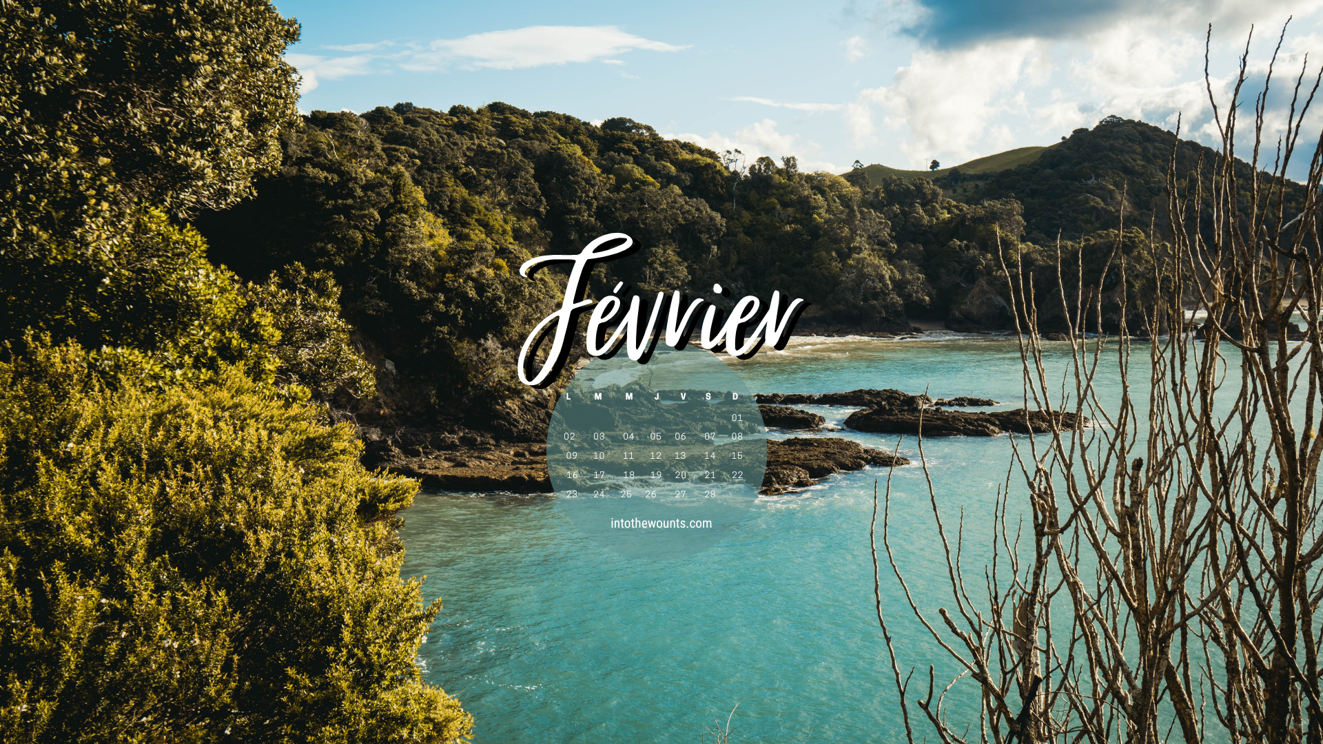 Fond d'écran pour téléphone et ordinateur avec et sans calendrier janvier 2026