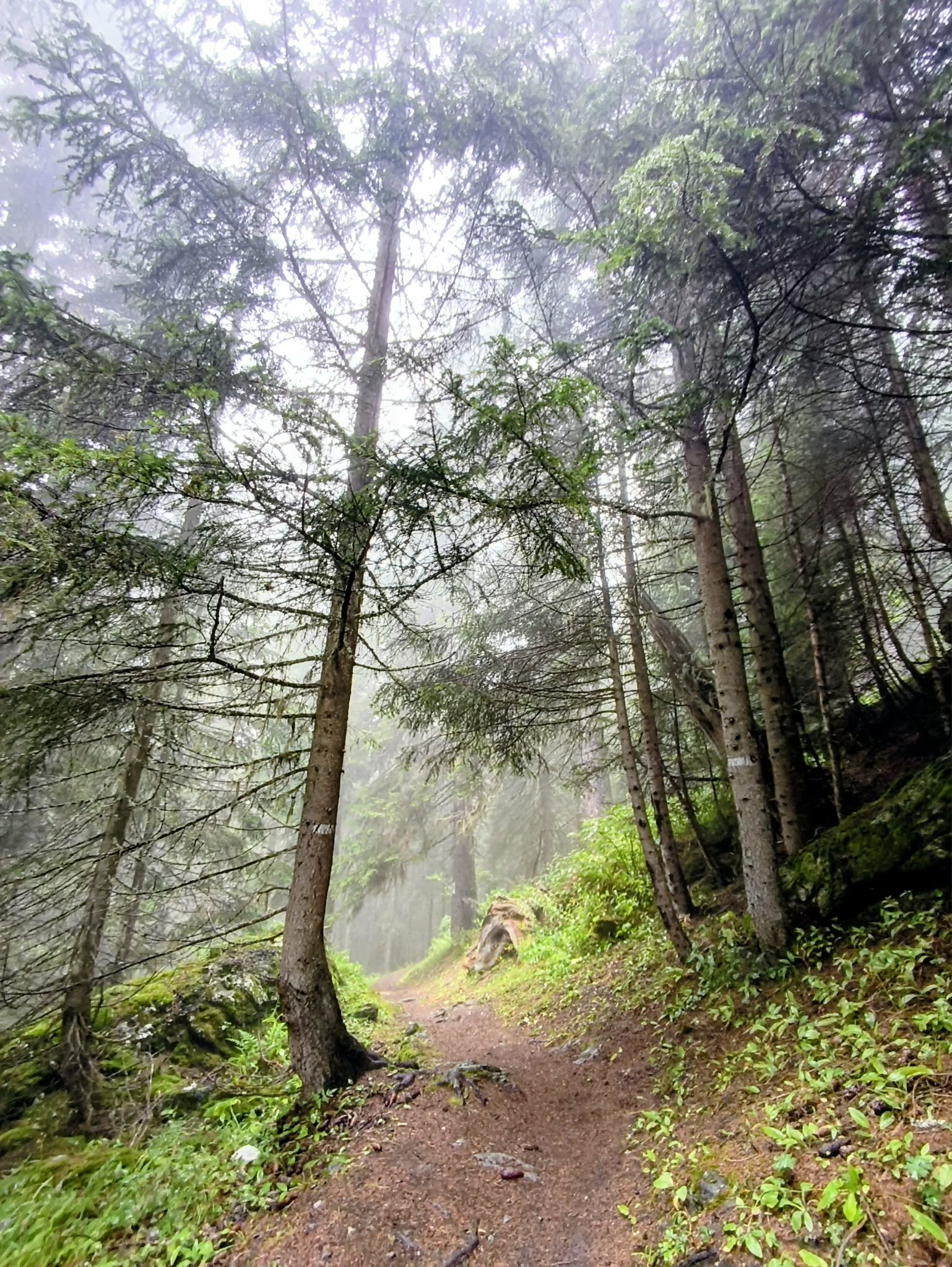 Trek Tour de la Grande casse en 4 jours - Parc de la Vanoise