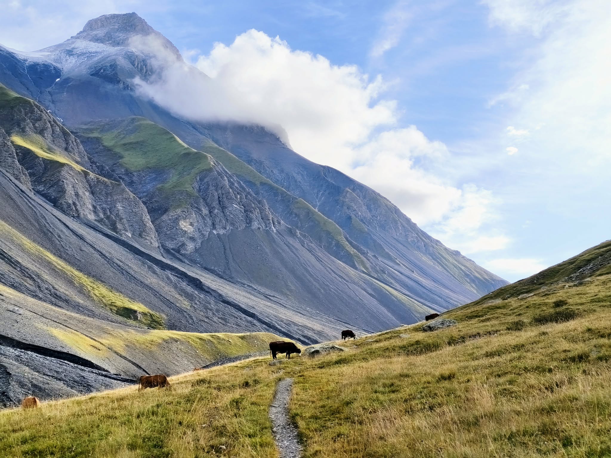 Trek Tour de la Grande casse en 4 jours - Parc de la Vanoise