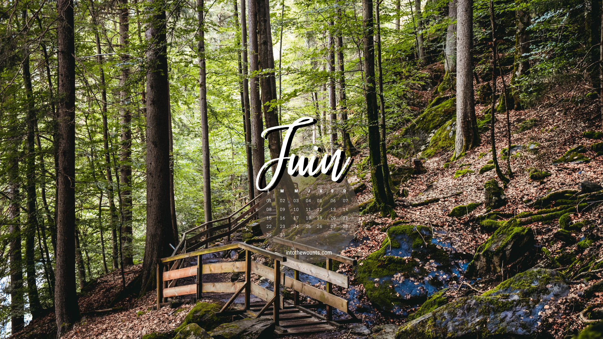 Fonds d'écran pour téléphone et ordinateur, avec et sans calendrier pour le mois de juin 2026. Thème montagnes / été