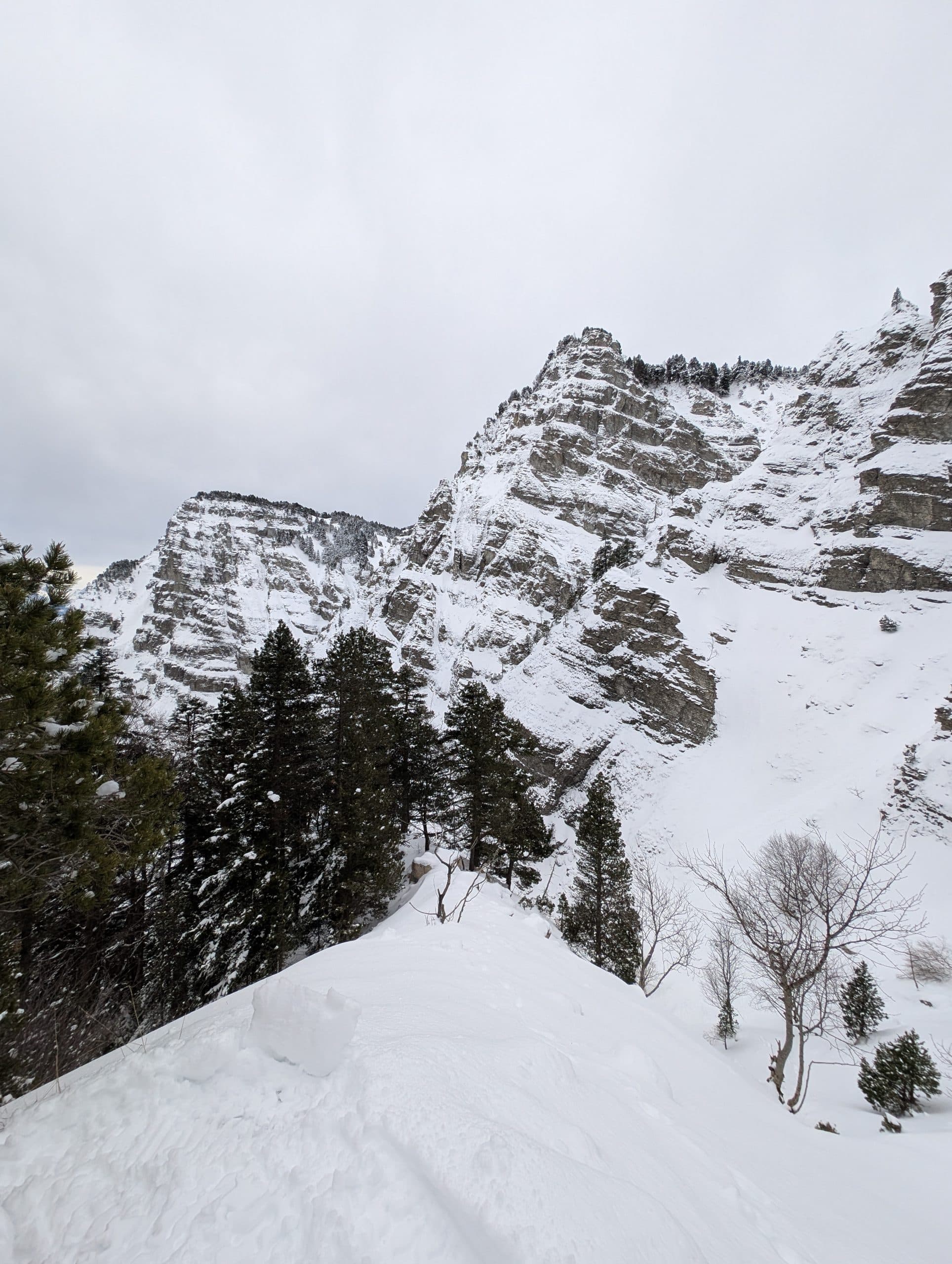 trek dans le Vercors, en hiver avec un guide Grand Angle