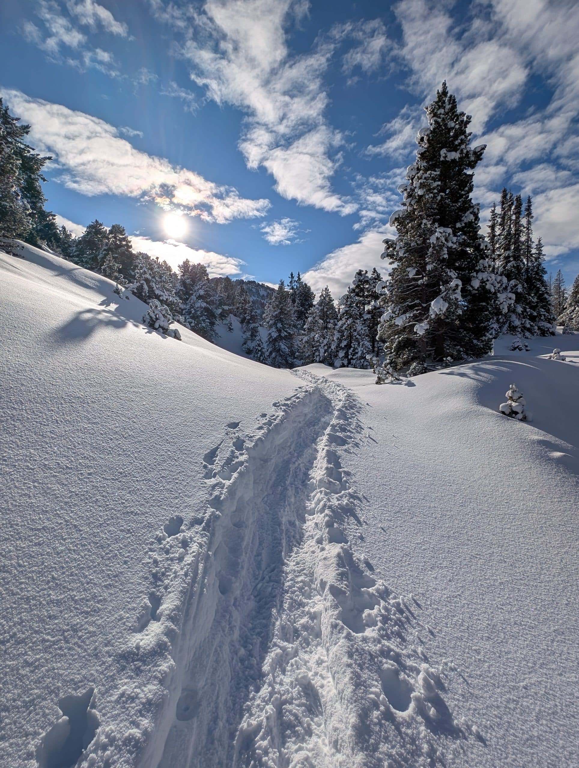 trek dans le Vercors, en hiver avec un guide Grand Angle