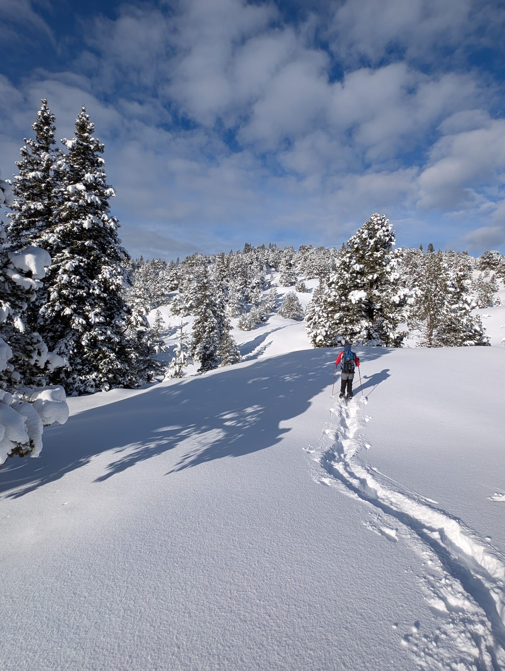 trek dans le Vercors, en hiver avec un guide Grand Angle