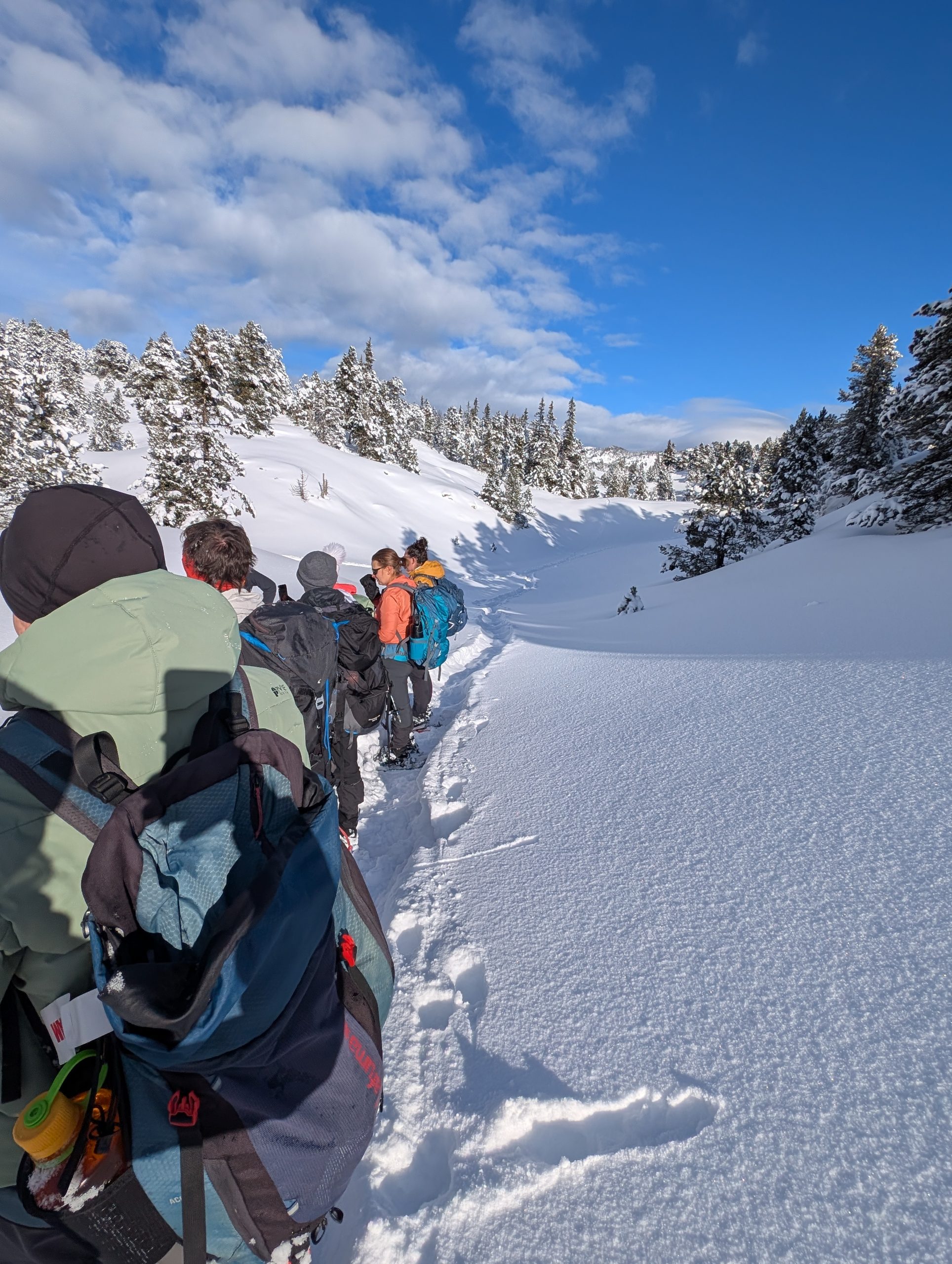 trek dans le Vercors, en hiver avec un guide Grand Angle