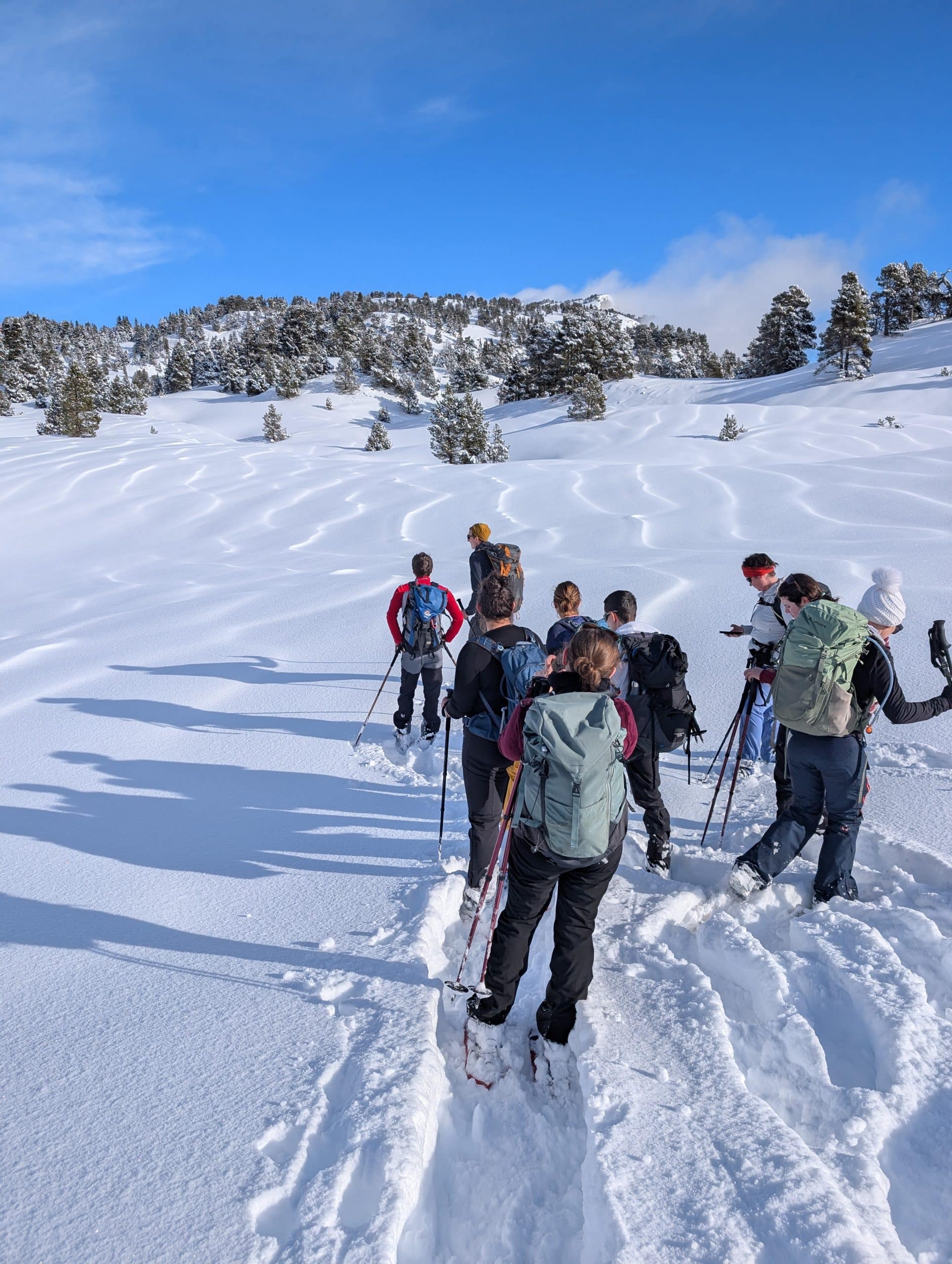 trek dans le Vercors, en hiver avec un guide Grand Angle