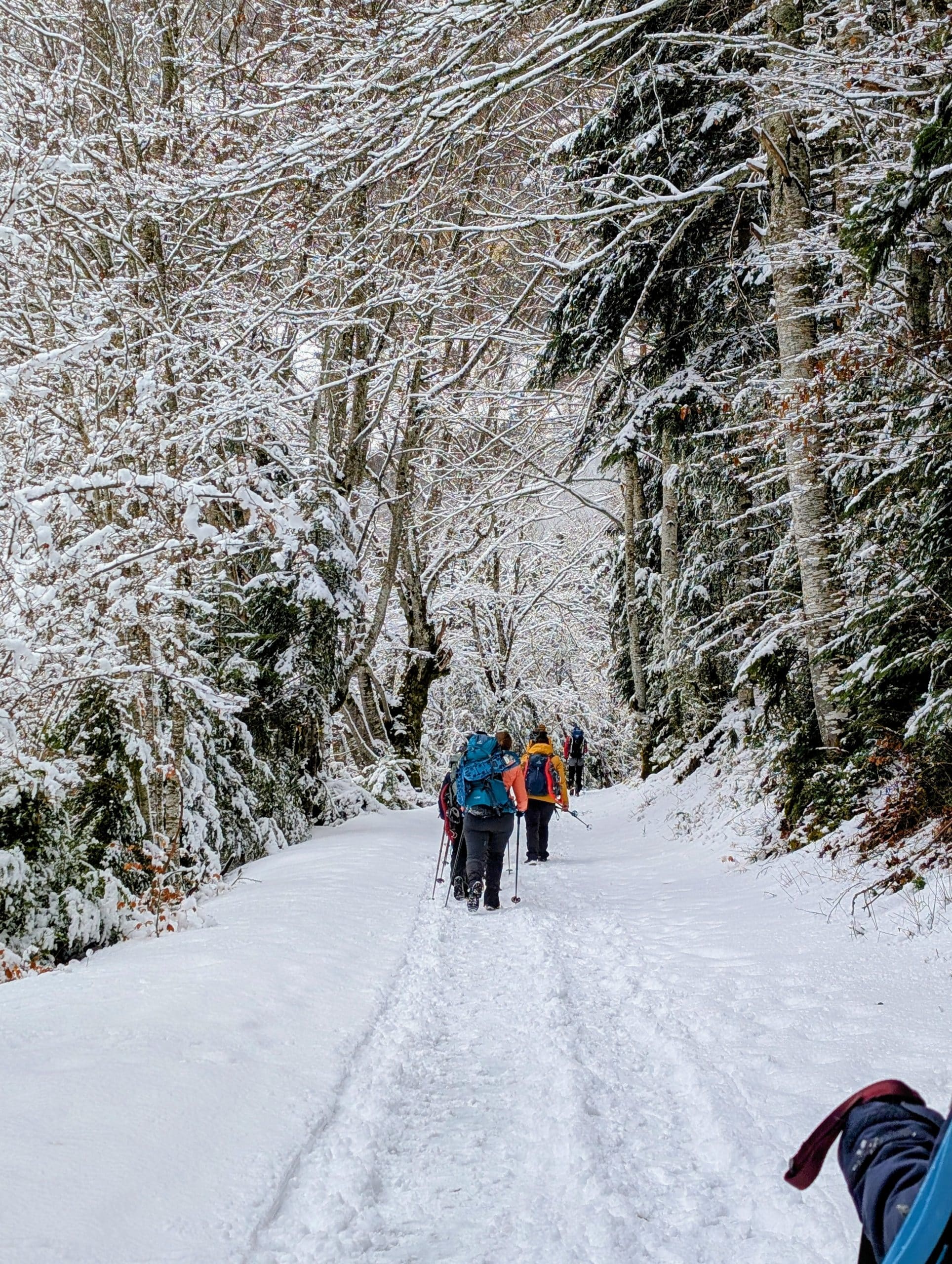 trek dans le Vercors, en hiver avec un guide Grand Angle