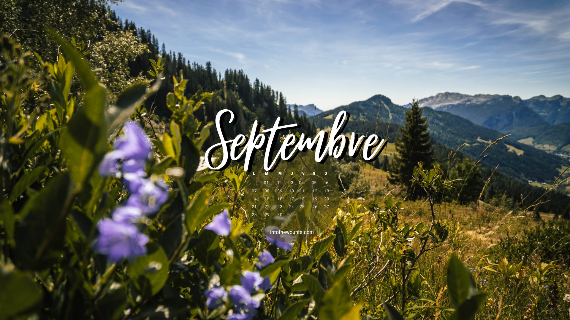 Fond d'écran ordinateur septembre 2026 avec calendrier - La Clusaz, fleurs violettes et sapins face aux sommets