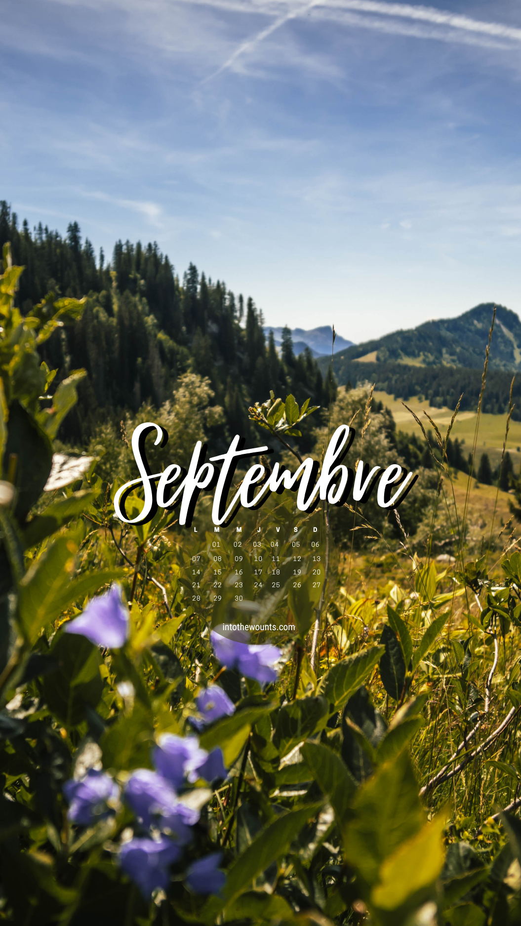 Fond d'écran mobile septembre 2026 avec calendrier - La Clusaz, fleurs violettes et sapins face aux sommets