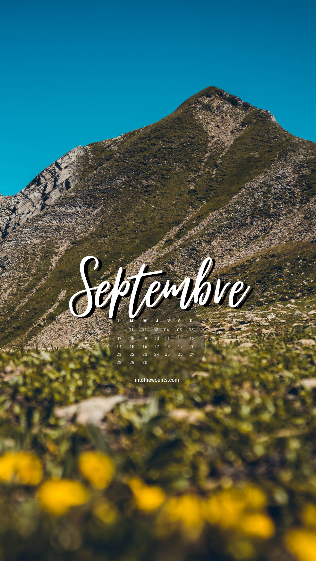 Fond d'écran mobile septembre 2026 avec calendrier - La Clusaz, fleurs jaunes au premier plan, sommet pointu